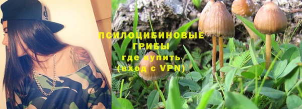 хмурый Алексеевка