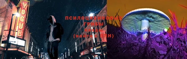 кокс Алзамай