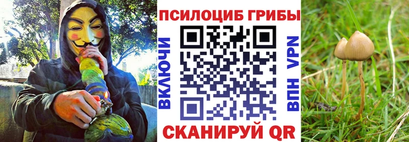 кракен рабочий сайт Данков Галлюциногенные грибы Magic Shrooms