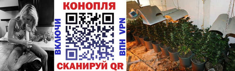 мега   Данков  Бошки марихуана сатива 